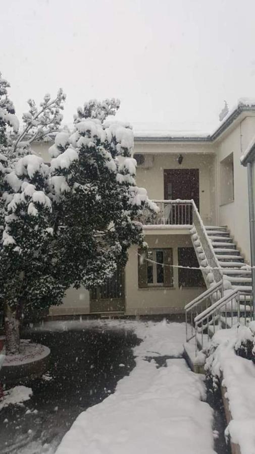 Traditional Antique Deco House Kalampáka Dış mekan fotoğraf