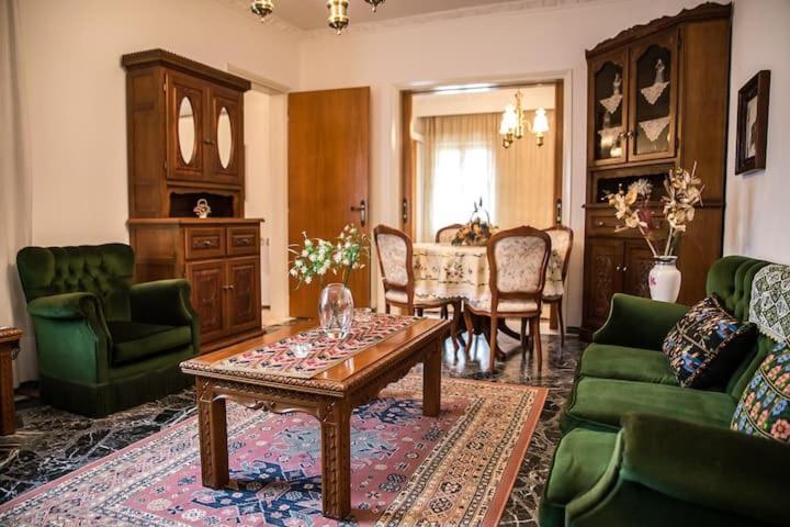 Traditional Antique Deco House Kalampáka Dış mekan fotoğraf